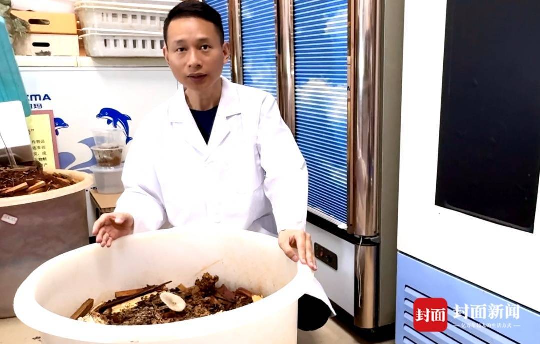 怎么注册皇冠信用盘
_价格腰斩怎么注册皇冠信用盘
！四川人即将实现鸡枞菌自由