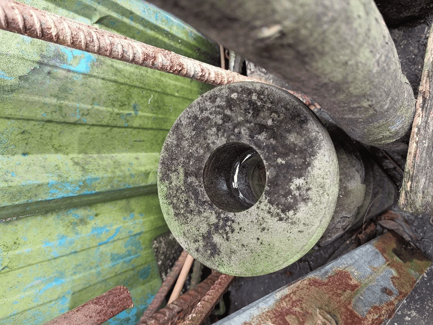 皇冠信用网账号注册
_家里的这几个地方皇冠信用网账号注册
,正悄悄“养”出花斑蚊!快自查→