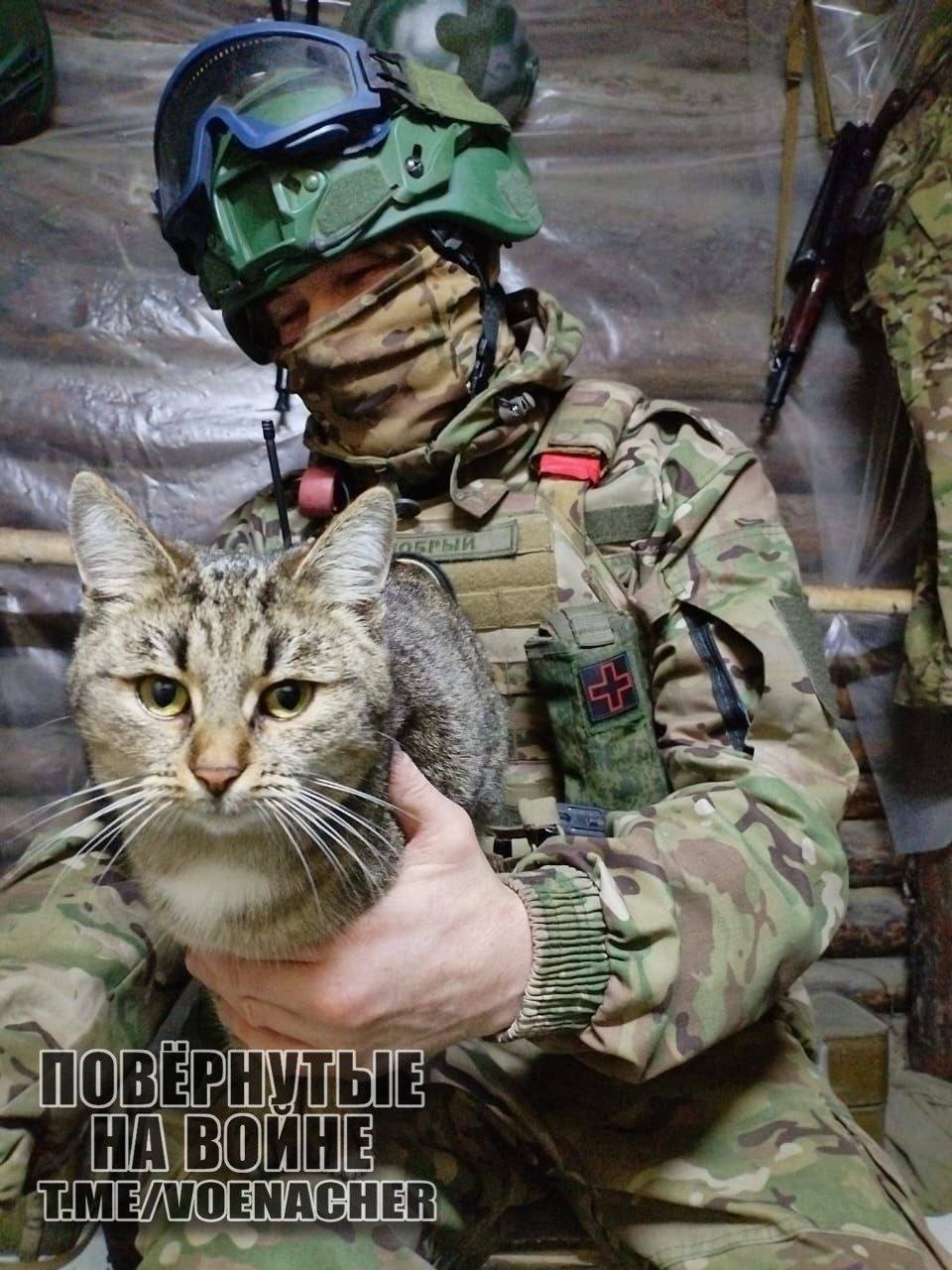 丹麦超级联赛
_乌克兰亚速营前参谋长:乌军前线炸锅了丹麦超级联赛
,俄军即将实现两次大包围