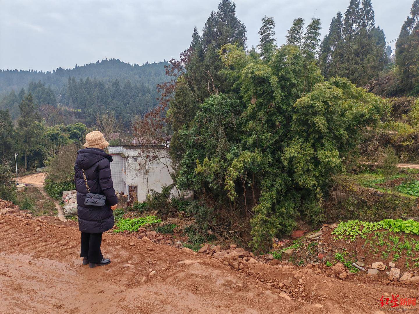 新2网
_南充一村庄村民房屋因建高速路拆迁新2网
,至今未找到新宅基地建房 官方回应